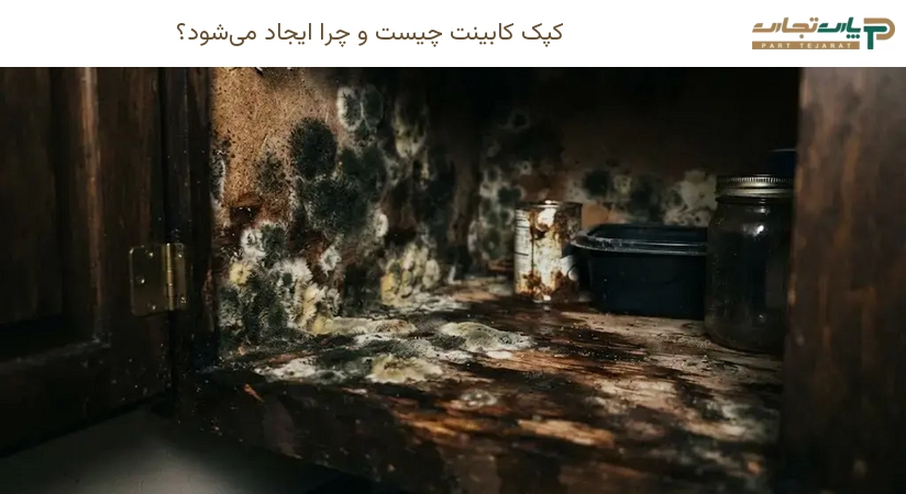 کپک کابینت چیست و چرا ایجاد می‌شود؟