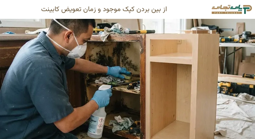 از بین بردن کپک موجود و زمان تعویض کابینت