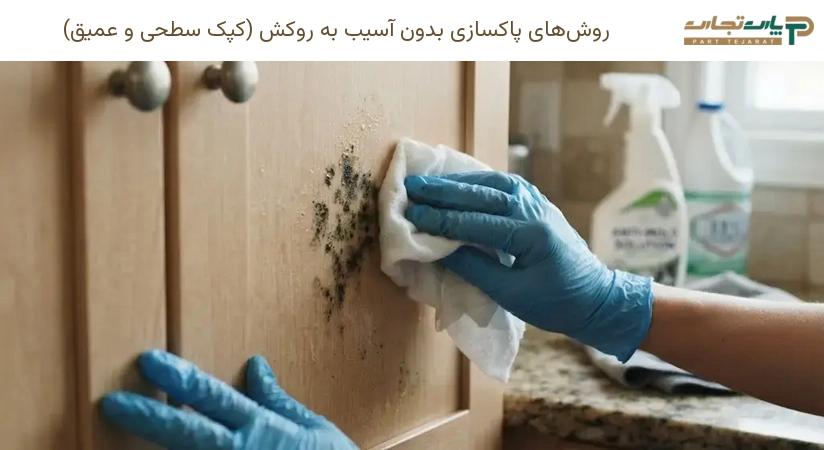 روش‌های پاکسازی بدون آسیب به روکش (کپک سطحی و عمیق)