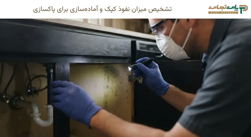 تشخیص میزان نفوذ کپک و آماده‌سازی برای پاکسازی