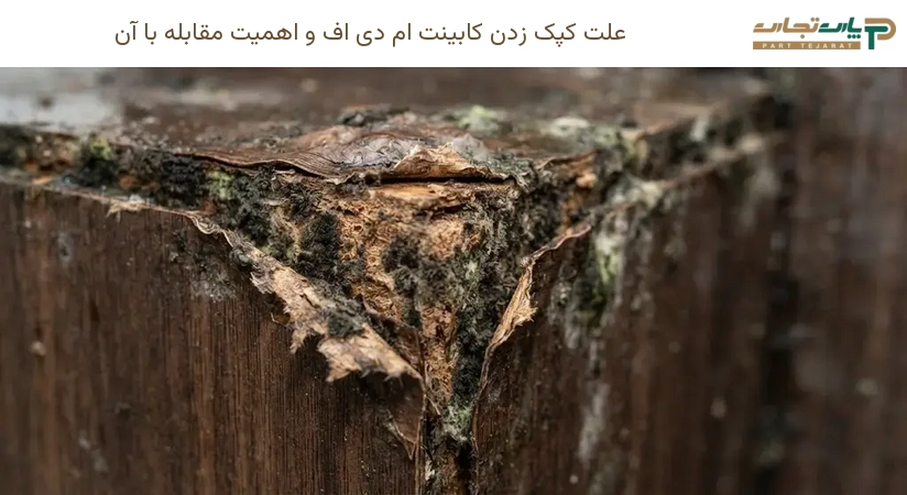 علت کپک زدن کابینت ام دی اف و اهمیت مقابله با آن