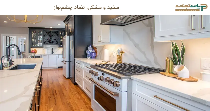 سفید و مشکی: تضاد چشمنواز