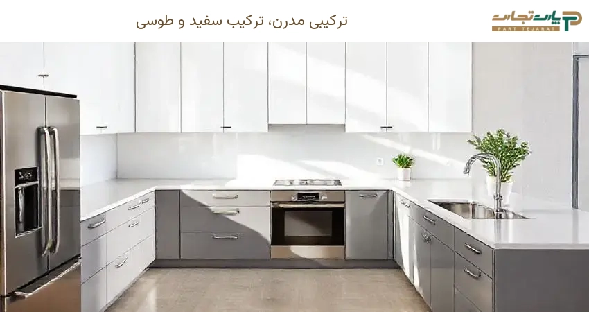 ترکیب سفید و طوسی