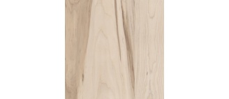 نئوپان ملامینه روکش دار پاک چوب طرح چوب کد 8810