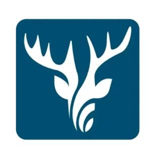 ویسپان ام دی اف